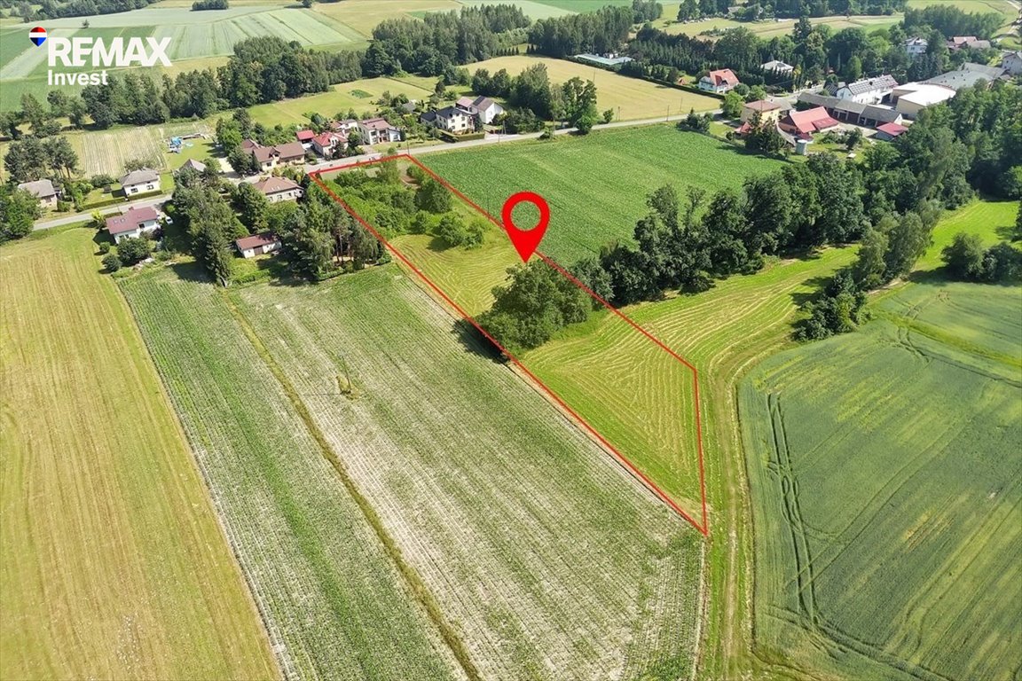 Na sprzedaż duża działka inwestycyjna 7300 m² z mediami Dankowice, Świętego Maksymiliana Kolbe 82  7 300m2 Foto 1