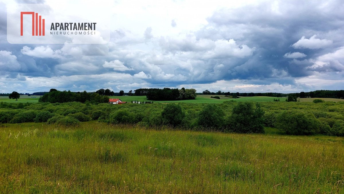 Działka budowlana na sprzedaż Jeleń  5 141m2 Foto 12