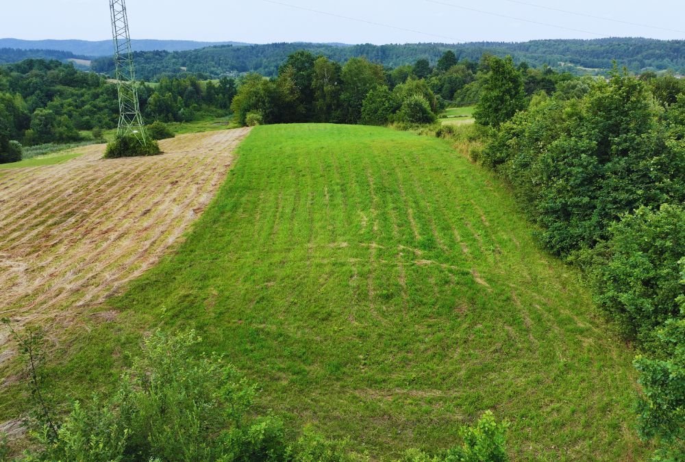 Działka rolna na sprzedaż Jankowce  2 900m2 Foto 7