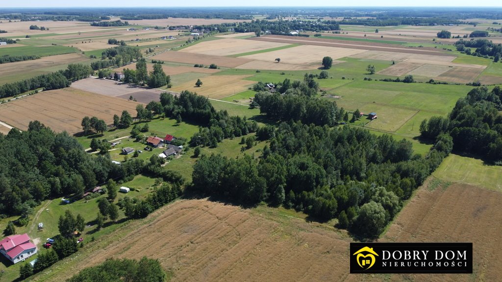 Działka budowlana na sprzedaż Rafałówka  3 000m2 Foto 8