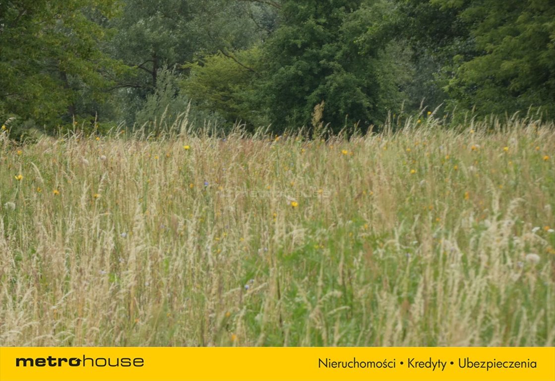 Działka inna na sprzedaż Nowa Mała Wieś  1 500m2 Foto 5