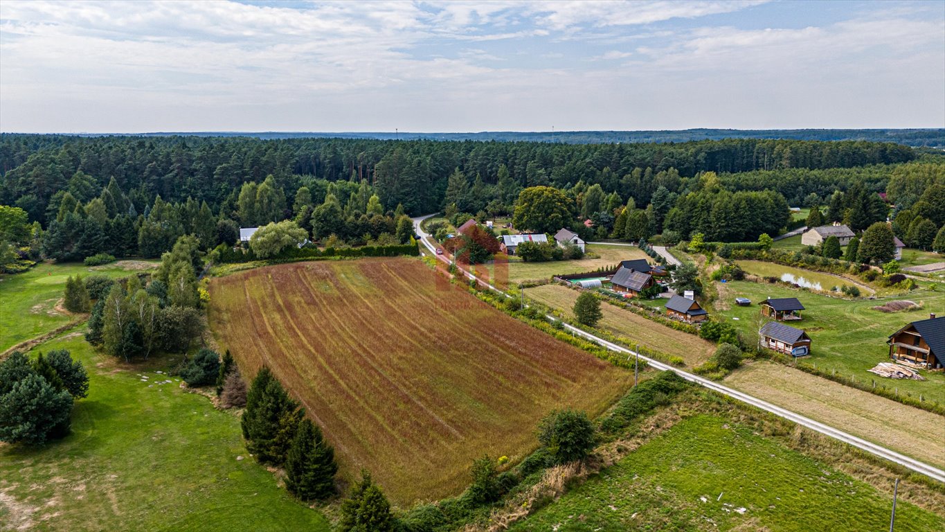 Działka budowlana na sprzedaż Krzywa  2 000m2 Foto 8