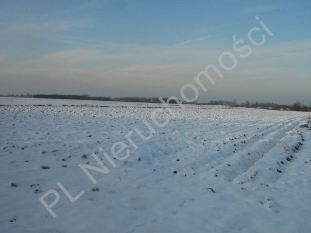 Działka rolna 1,36 ha z dostępem do mediów i dojazdem Żuków  13 600m2 Foto 1