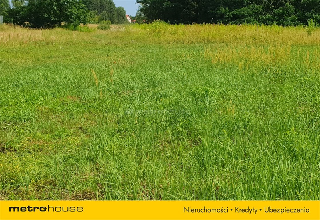 Działka inna na sprzedaż Dawidy Bankowe, Waltorni  1 000m2 Foto 3