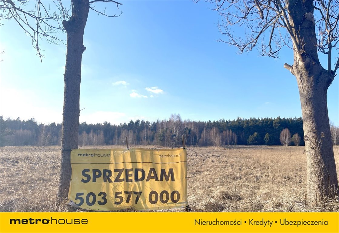 Działka inna na sprzedaż Warężyn  4 841m2 Foto 9