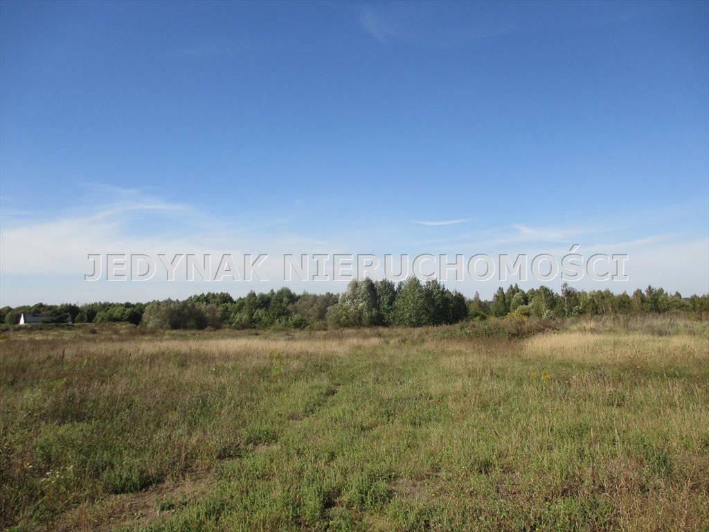 Duża działka 5 552 m² w Łochowicach, blisko natury - polecam! Łochowice  5 552m2 Foto 1