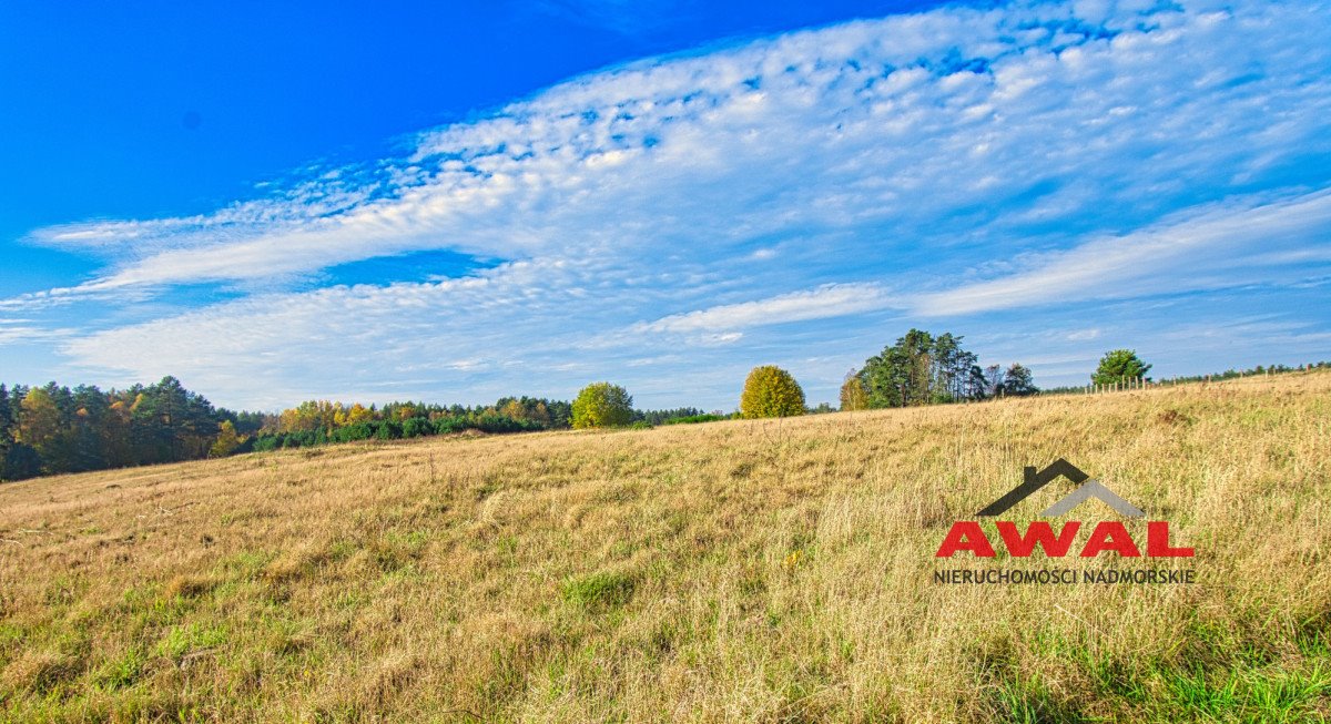 Działka budowlana na sprzedaż Leśniewo, Glinne Pole  1 001m2 Foto 14