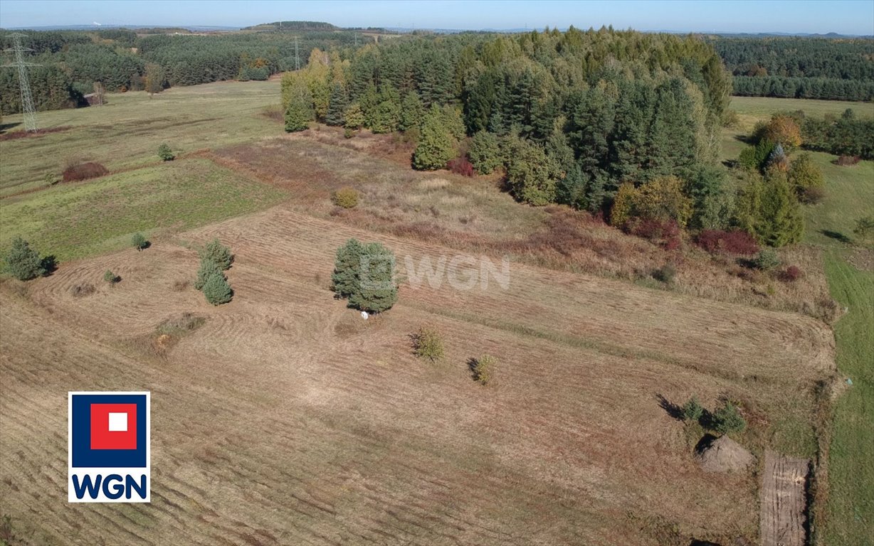 Działka budowlana na sprzedaż Luszowice, Okradziejówka, Mokra  1 460m2 Foto 6