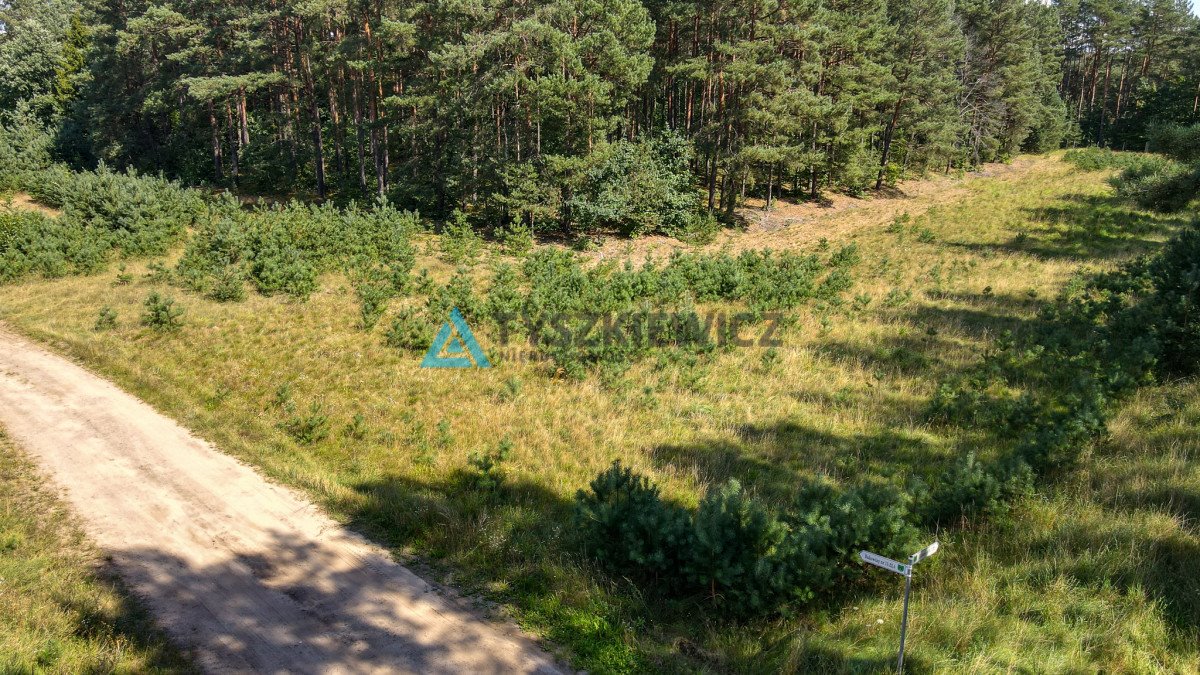Zdjęcie 7
