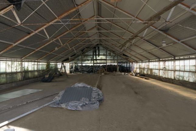 Lokal użytkowy na wynajem Tarczyn, Tarczyn 350m2 Foto 1 Lokal użytkowy na wynajem Tarczyn, Tarczyn 350m2 Foto 1