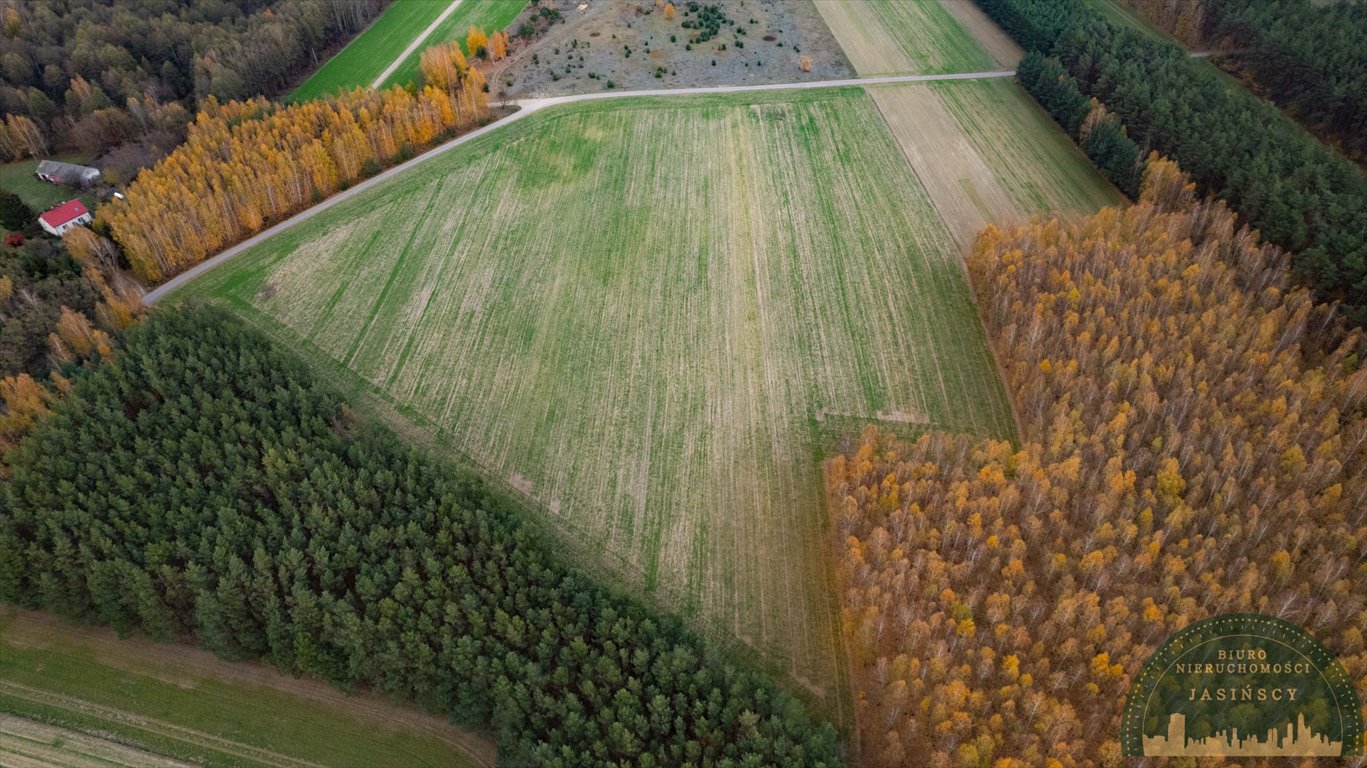 Działka rolna na sprzedaż Marusy, Marusy  42 469m2 Foto 9