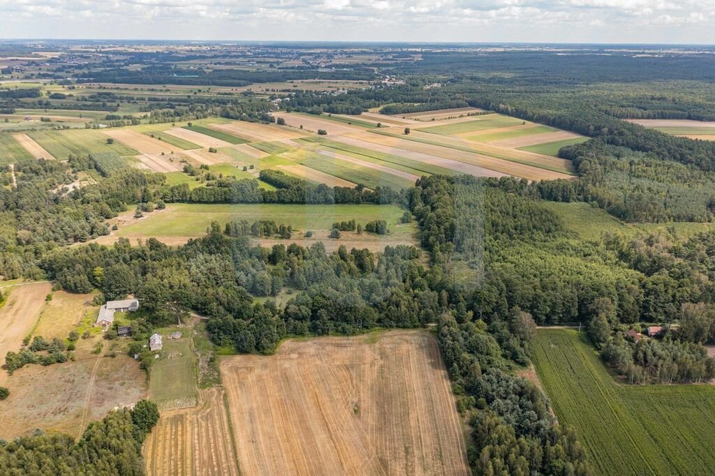 Działka budowlana na sprzedaż Rowy  6 400m2 Foto 9