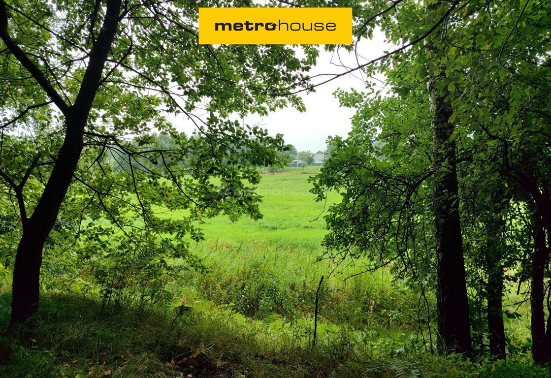 Działka leśna na sprzedaż Przegędza, Piaskowa  5 650m2 Foto 1