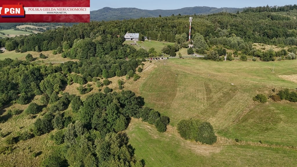 Widokowa działka 21 228 m² z panoramą gór i lasów Kłodzko  21 228m2 Foto 1