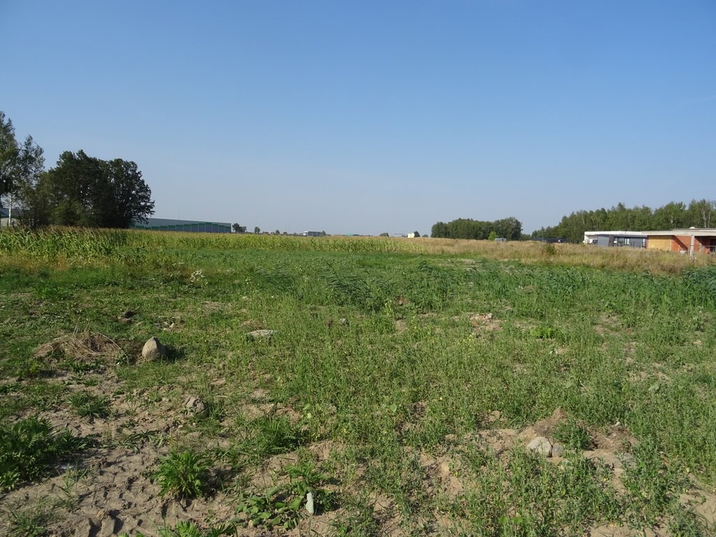 Działka budowlana na sprzedaż Piotrków Trybunalski, Kasztelańska  20 518m2 Foto 3