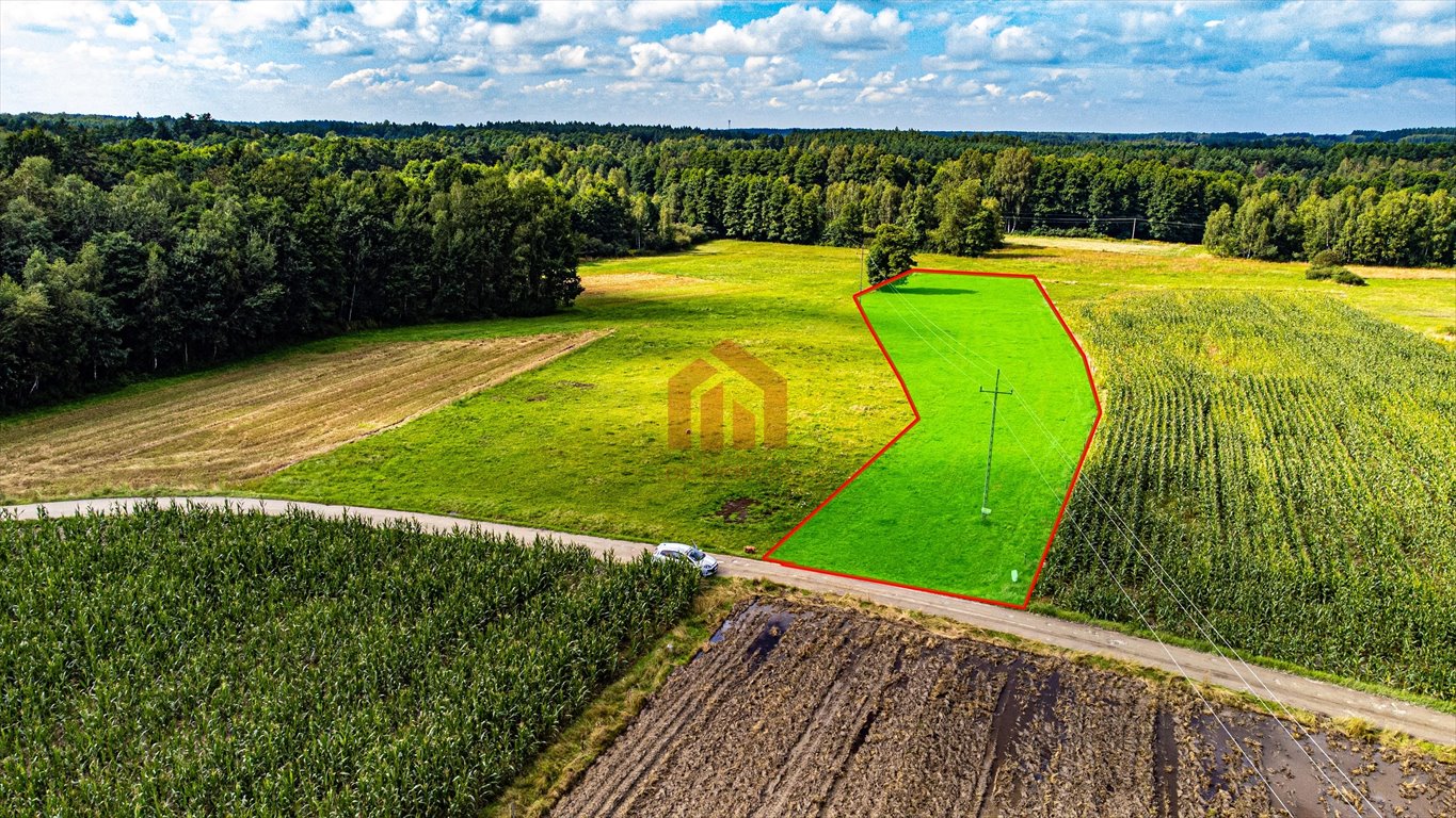 Działka budowlana na sprzedaż Kamionka  4 700m2 Foto 2