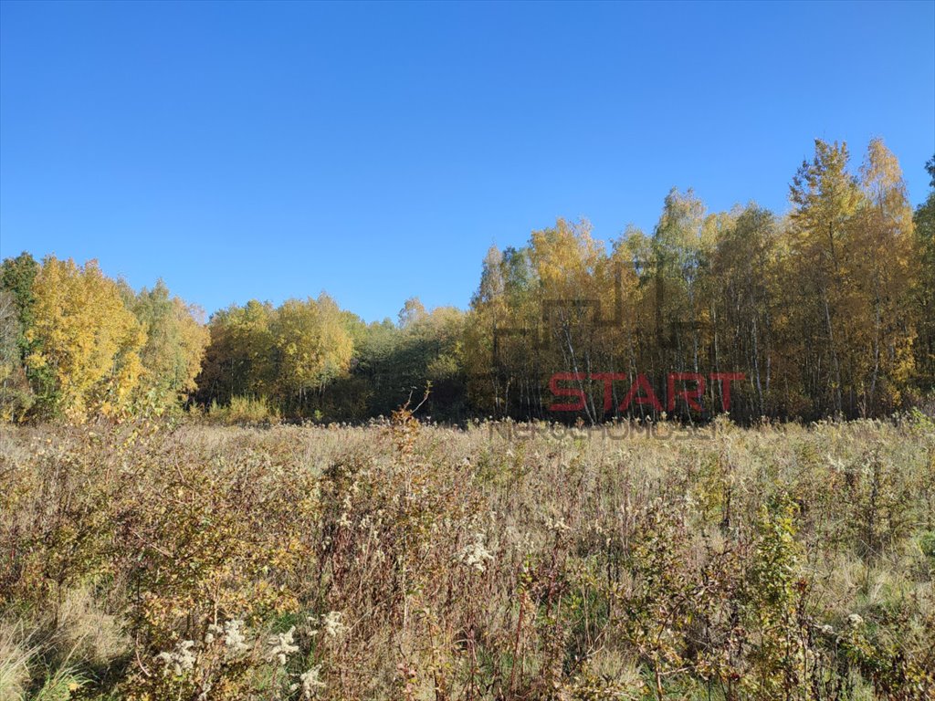 Działka budowlana na sprzedaż Adamów-Parcel  20 800m2 Foto 3