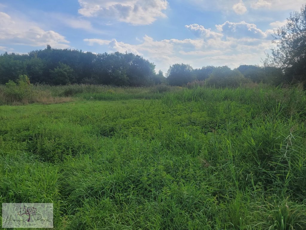 Działka budowlana na sprzedaż Konstantynów Łódzki  1 490m2 Foto 1