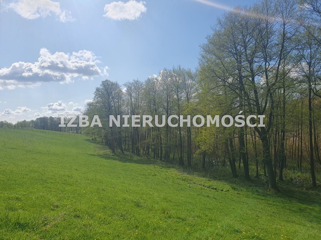 Działka rekreacyjna na sprzedaż Grabnik  3 000m2 Foto 17