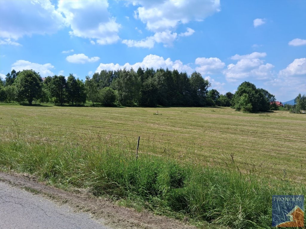Polecam działkę 1238 m² w Sowlinach z warunkami zabudowy Sowliny  1 238m2 Foto 1