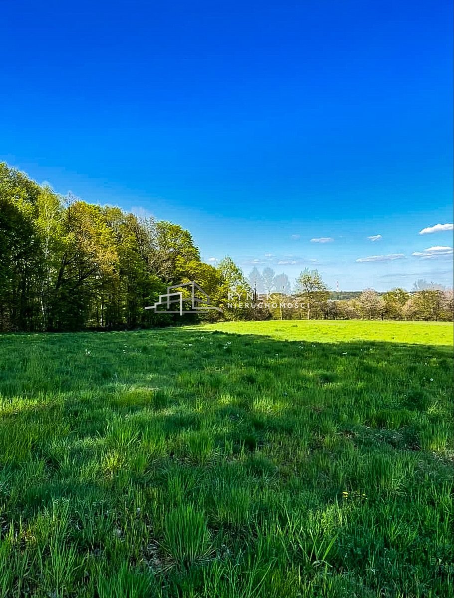 Działka inna na sprzedaż Międzyrzecze Dolne  3 030m2 Foto 8