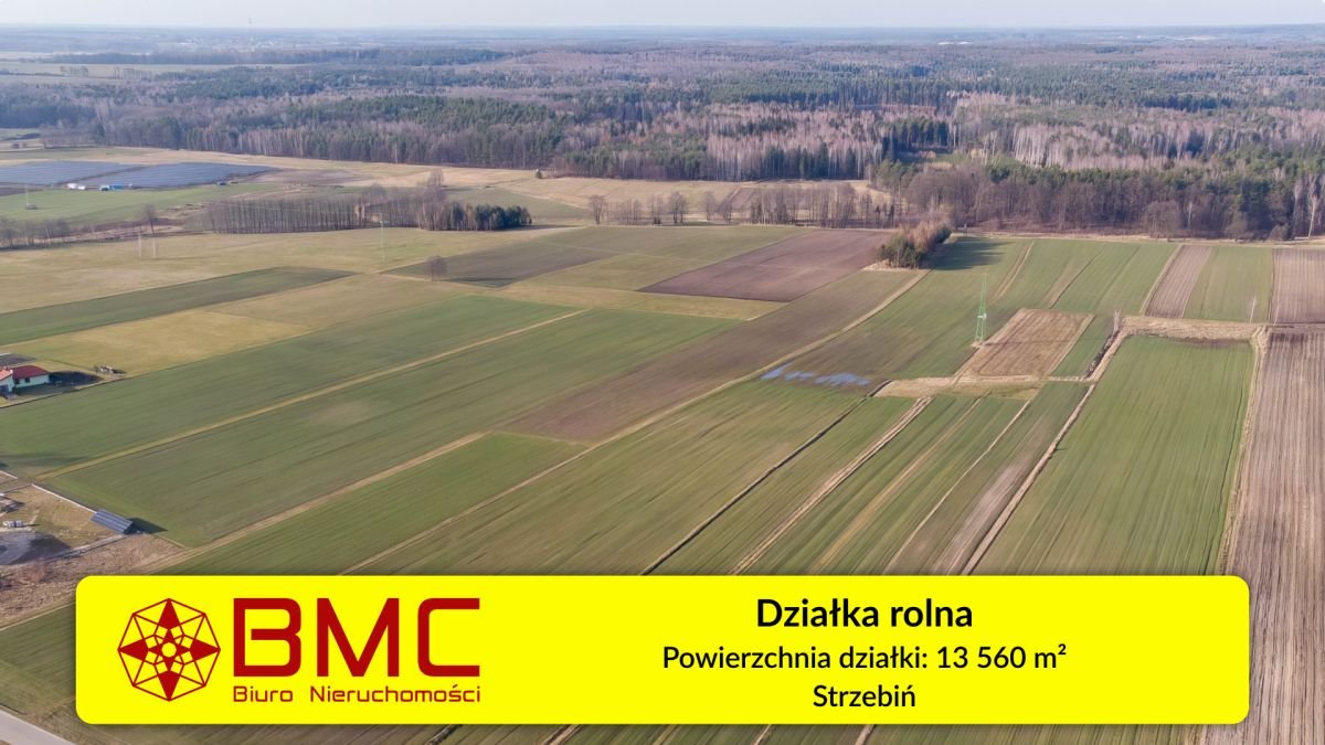 Działka rolna na sprzedaż Strzebiń, Kościuszki  13 560m2 Foto 1