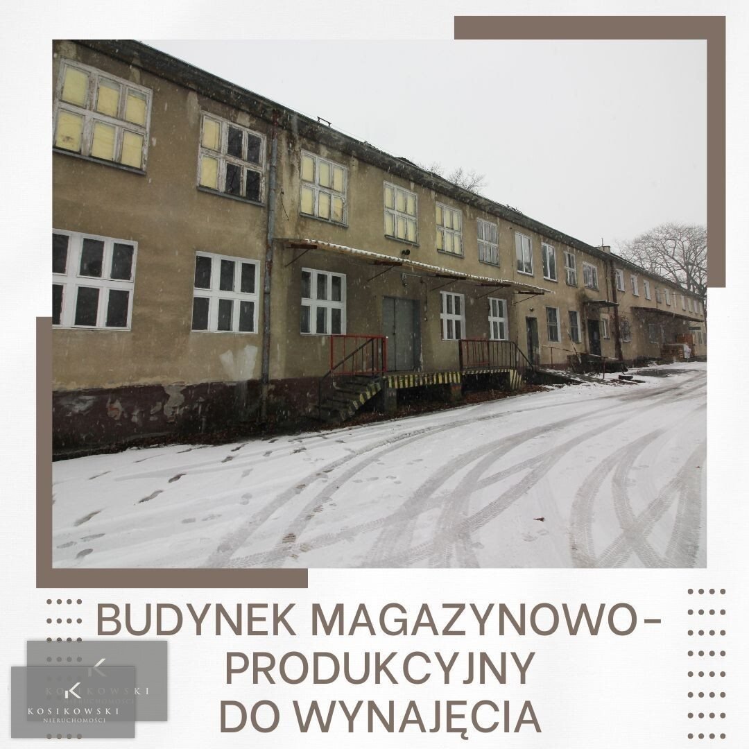 Hala produkcyjno-magazynowa 1327 m2 z rampą i windą Namysłów  1 327m2 Foto 1