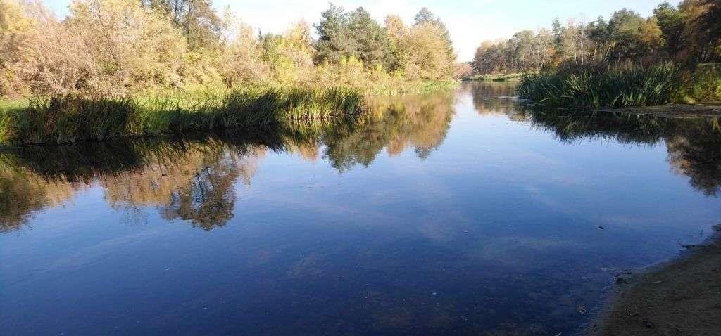 Dom na sprzedaż Popielżyn-Zawady, Popielżyn-Zawady  92m2 Foto 8