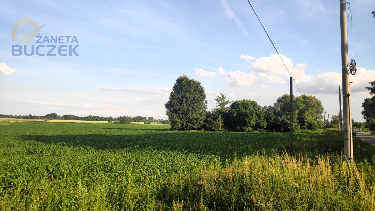 Działka przemysłowo-handlowa na sprzedaż Kopytów  34 470m2 Foto 5