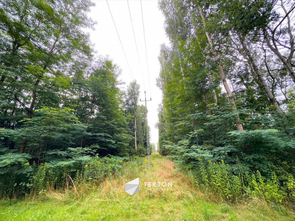 Działka budowlana na sprzedaż Janinów, Szkocka  31 100m2 Foto 8