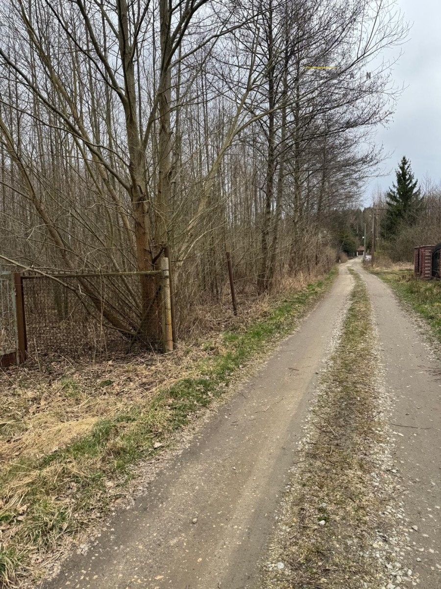 Działka 1731 m² z lasem i mediami w Aleksandrowie.: Aleksandrów Łódzki