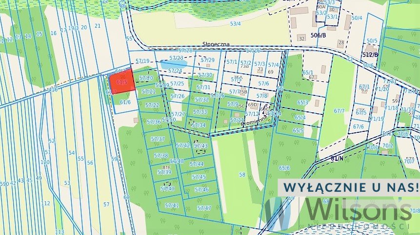 Działka rekreacyjna 1245 m² w Ludwinowie – idealna na letnisko Ludwinów  1 245m2 Foto 1