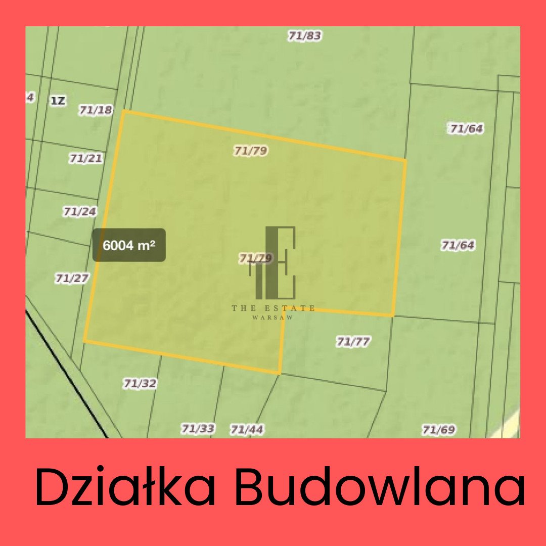 Działka budowlana na sprzedaż Popielżyn Dolny  6 006m2 Foto 1