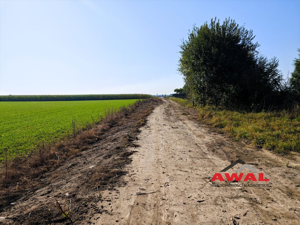 Działka budowlana na sprzedaż Połczyno, Polna  800m2 Foto 4