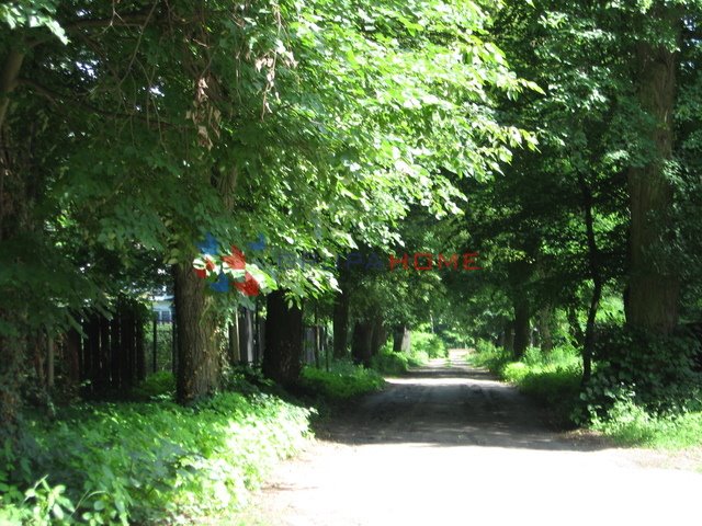 Działka budowlana na sprzedaż Podkowa Leśna  1 954m2 Foto 2