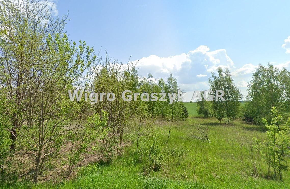 Działka inna na sprzedaż Trębki Nowe  3 000m2 Foto 1