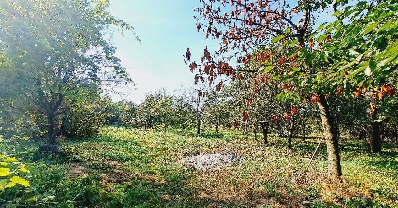 Działka budowlana na sprzedaż Maszków, Kolonia  1 200m2 Foto 2