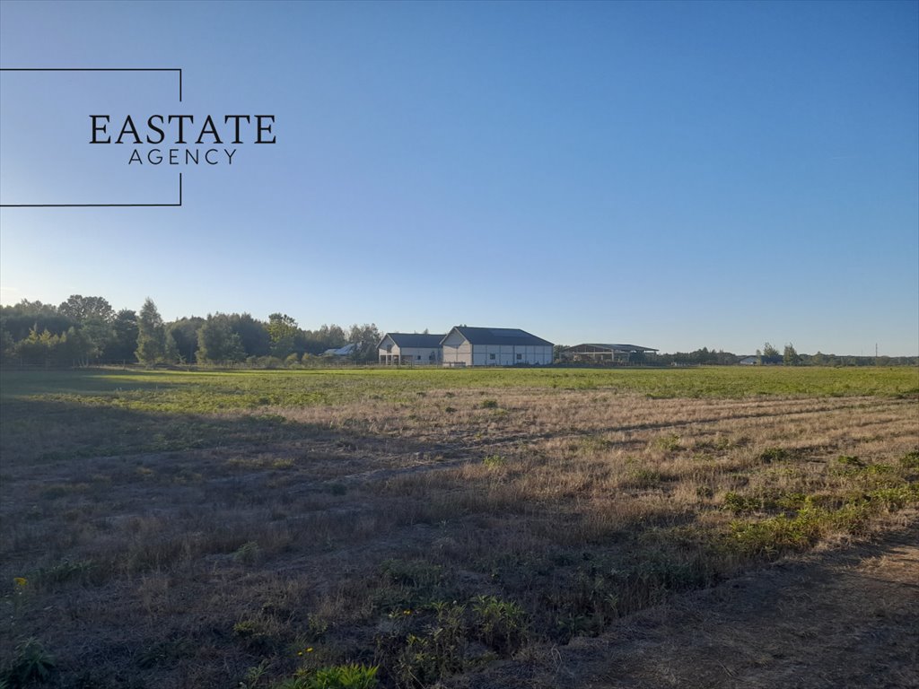 Działka rolna 10 004 m² z możliwością zabudowy w Prażmowie Prażmów  10 004m2 Foto 1