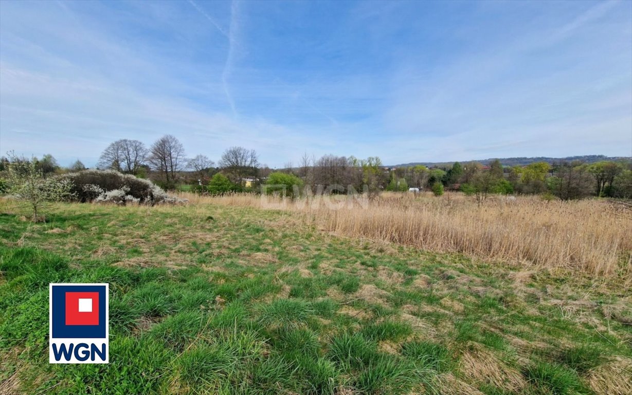 Działka budowlana na sprzedaż Tenczynek, Tenczynek, Ogródkowa  4 900m2 Foto 4