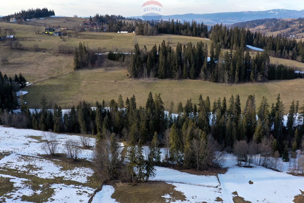 Działka rolna na sprzedaż Leśnica  3 665m2 Foto 10