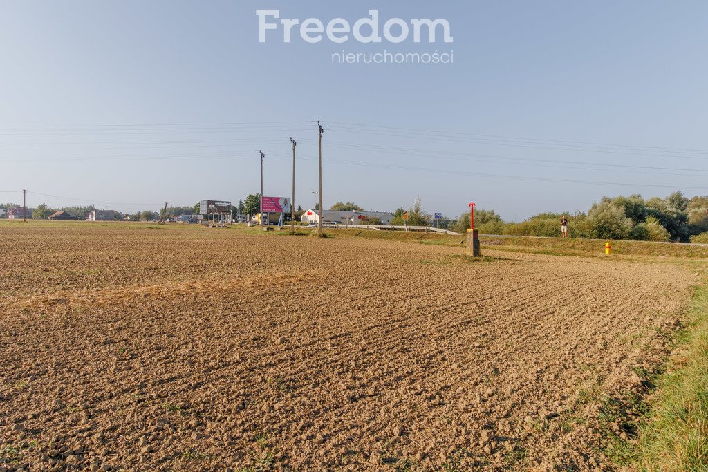 Działka inwestycyjna na sprzedaż Żabno  10 000m2 Foto 9