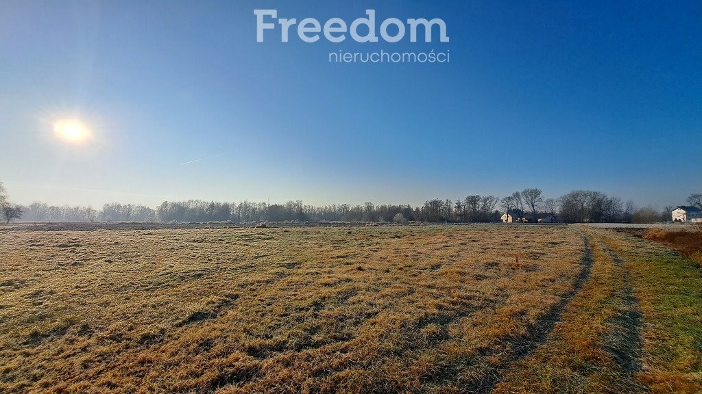 Działka inna na sprzedaż Kraków, Przylasek Rusiecki, Przylasek Rusiecki  15 000m2 Foto 7