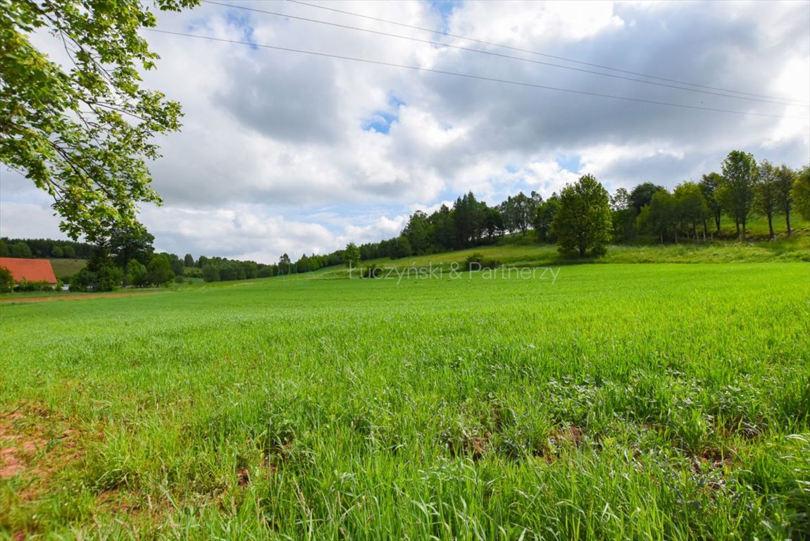 Działka budowlana na sprzedaż Olszyny  2 900m2 Foto 3