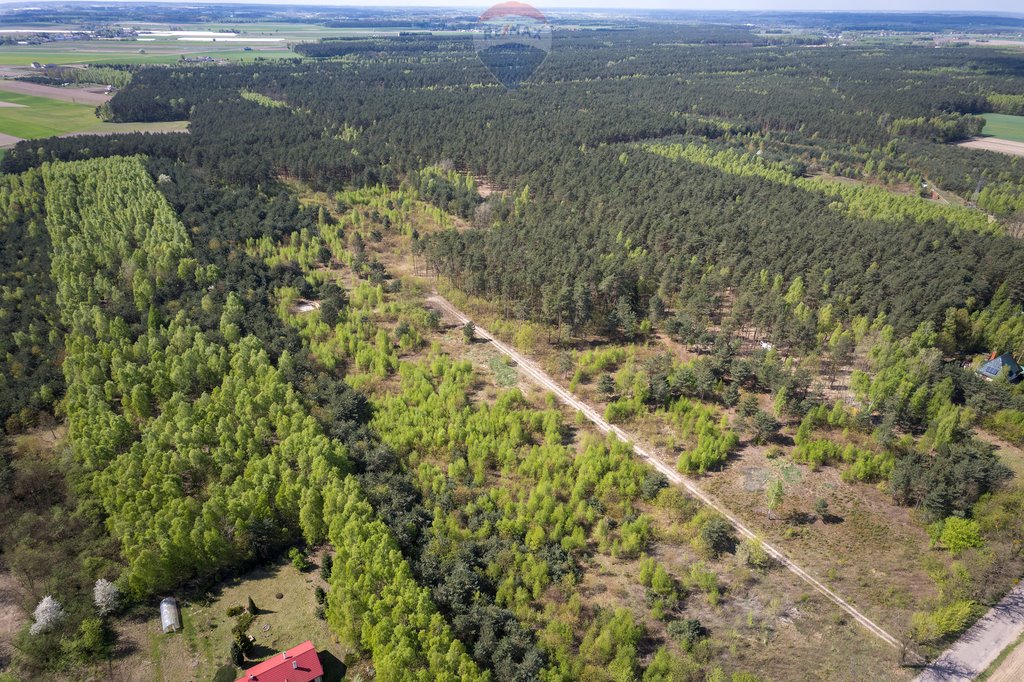 Działka budowlana na sprzedaż Ludwikowo  75 400m2 Foto 1