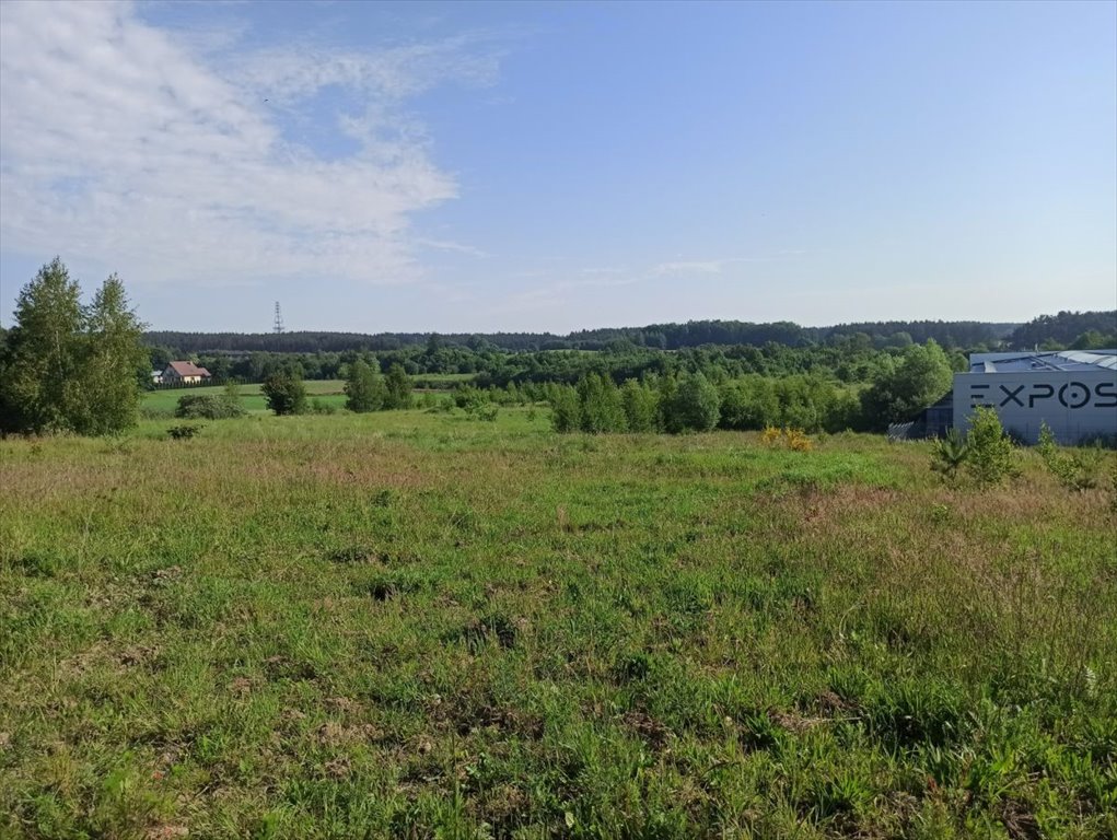 Działka przemysłowo-handlowa na sprzedaż Chwaszczyno, Rewerenda, Rewerenda  6 635m2 Foto 7