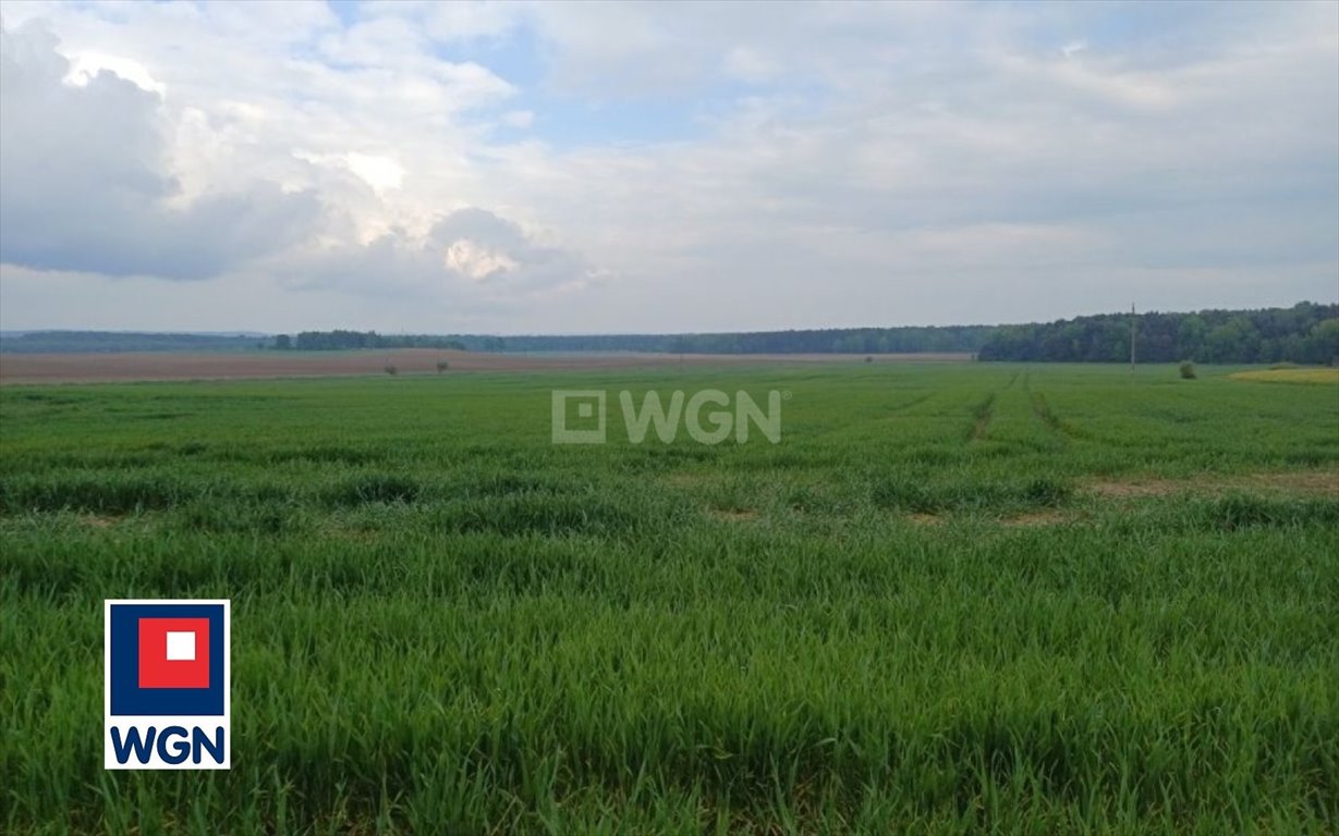 Działka rolna na sprzedaż Myszków, Mrzyglódka  12 400m2 Foto 8