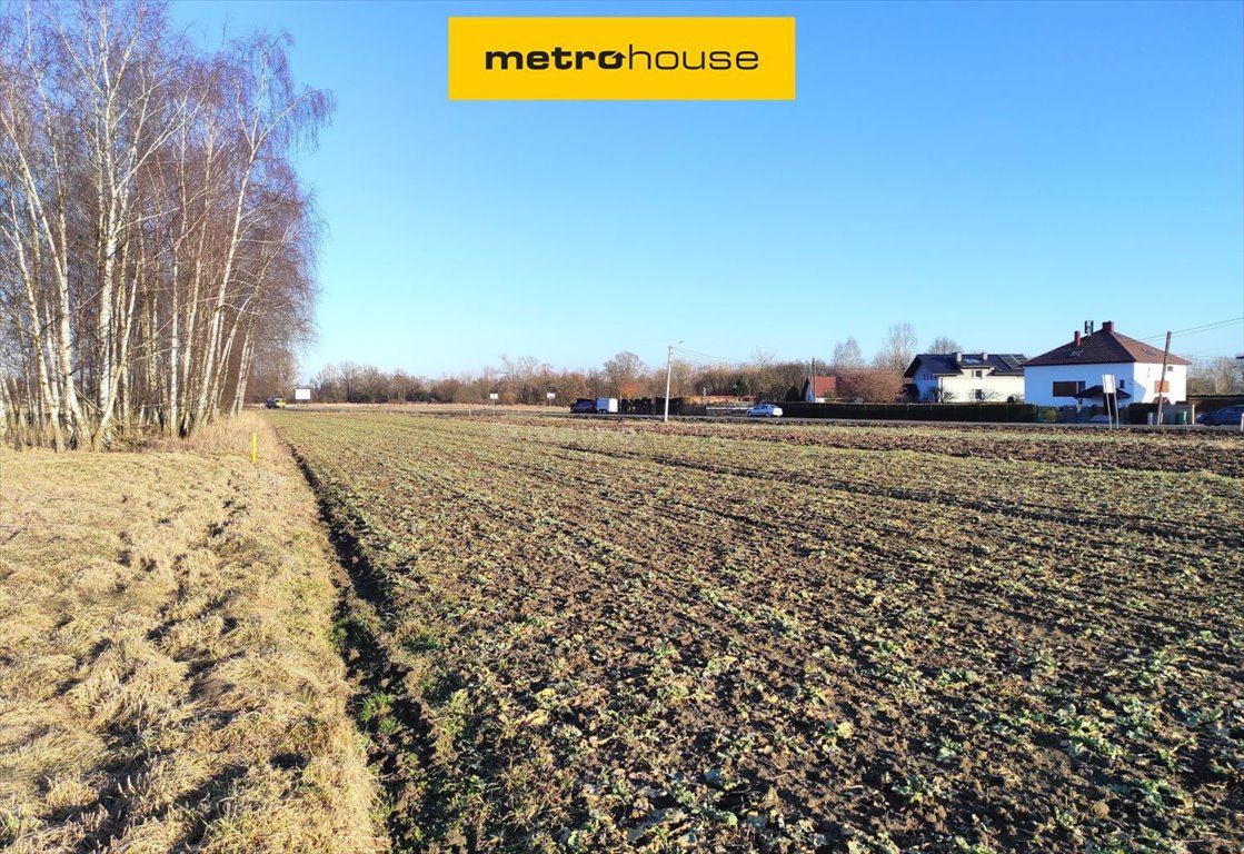 Działka 40 arów z potencjałem inwestycyjnym i dużą przestrzenią Zasole, Załęcze  3 899m2 Foto 1