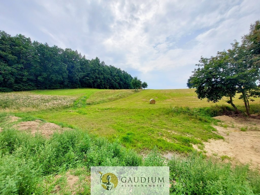 Działka budowlana na sprzedaż Kczewo  1 000m2 Foto 4