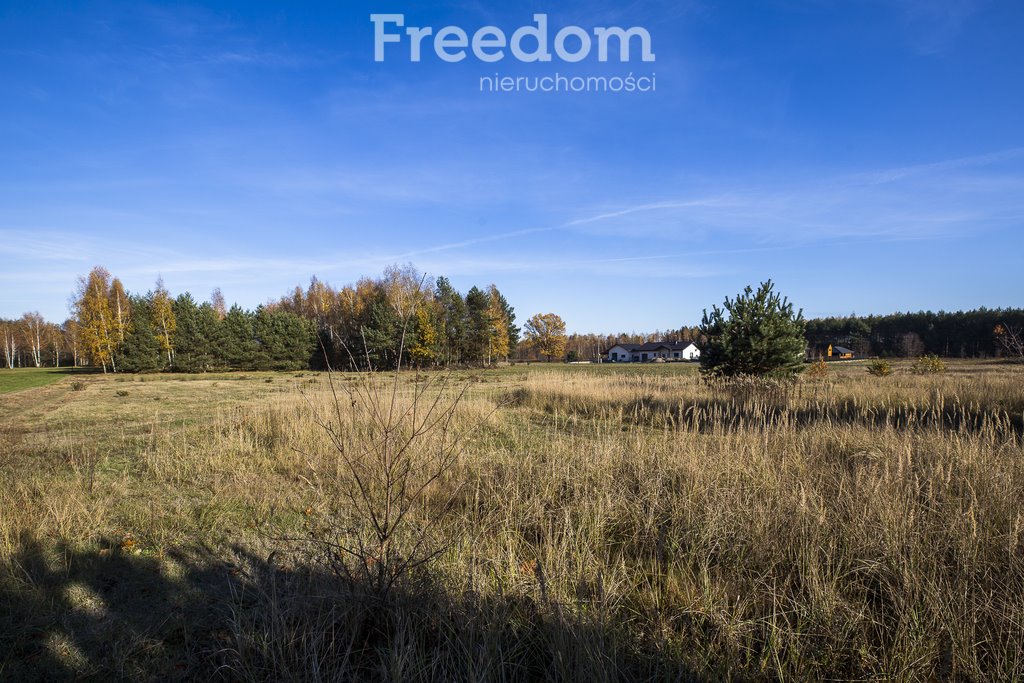 Działka budowlana na sprzedaż Tarnobrzeg, Ocice, Ocicka  2 800m2 Foto 6