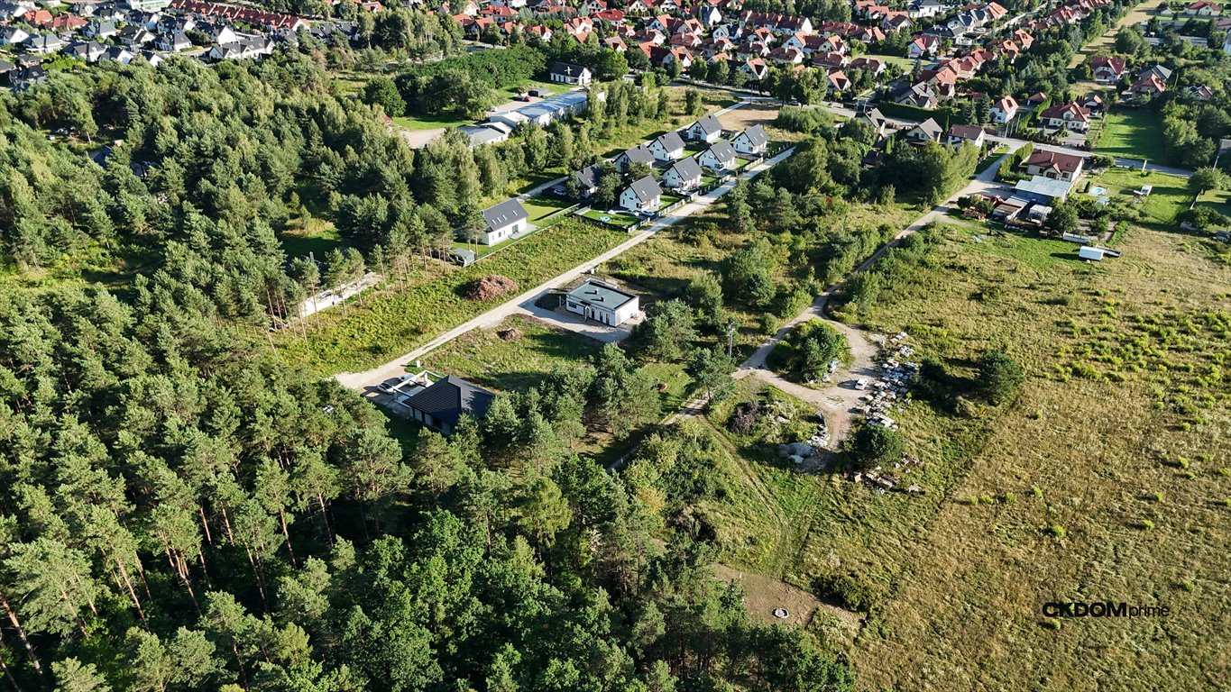 Zdjęcie 6